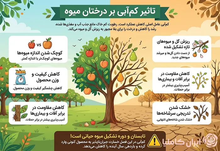 بهترین روش آبیاری درختان میوه